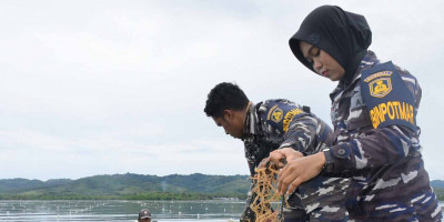 Program Pembudidayaan Rumput Laut Andalan Lantamal IX Di Bidang Pembinaan Potensi Maritim