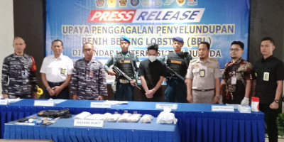 Nilainya Fantastis, TNI AL Berhasil Gagalkan Penyelundupan Benih Lobster Gunakan Pesawat Udara 