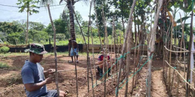 Satgas Yonif 143/TWEJ Sulap Lahan Kosong Jadi Kebun Sayur