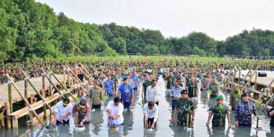 Rekor MURI untuk Mabes TNI atas Penanaman 1.100.000 Bibit Mangrove Secara Serentak