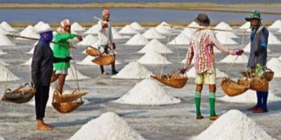 Tingkatkan Kapasitas Produksi, Pemerintah Diminta Intensifkan Industri Garam Rakyat di Daerah
