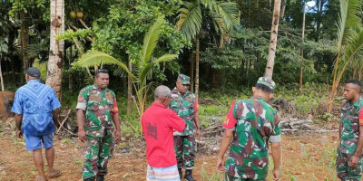 Dukung Hanpangan, Babinsa Posramil Biak Timur Bersama Petani Bersihkan Lahan Jagung