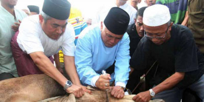 Orang Barat Terkejut Dengan Cara Islam Menyembelih Sapi