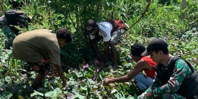 Tingkatkan Ekonomi, Satgas Yonif 143/TWEJ Borong Hasil Panen Warga Papua