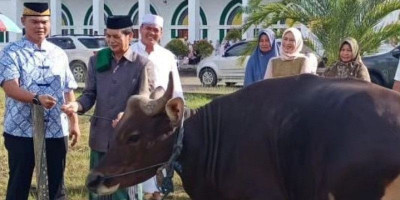 Dandim 0913/PPU Sembelih 9 Ekor Hewan Qurban untuk Masyarakat 