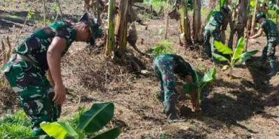 Wujudkan Ketahanan Pangan, Satgas Yonif 143/TWEJ Buka Kebun Bersama Di Papua