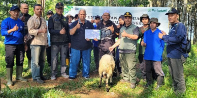 Perhutani KPH Bandung Utara Serahkan Hewan Qurban untuk Penyadap dan Masyarakat Sekitar Hutan di Bandung