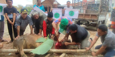 Beri Bantuan Hewan Qurban, JBMI Sasar Daerah Minoritas Muslim di Sumatera Utara