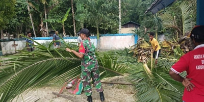 Peduli Sesama, Babinsa Bantu Warga Bersihkan Pohon Kelapa Tumbang