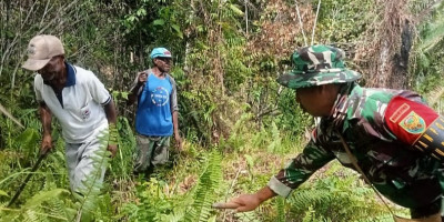 Bersama Warga, Satgas Yonif 143/TWEJ Siapkan Lumbung Kopi di Papua