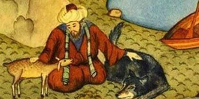 Belajar Najis Dari Seekor Anjing