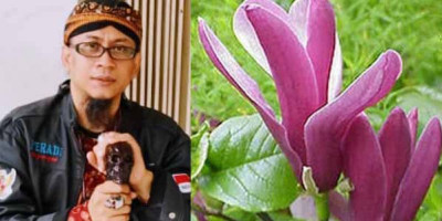 Kembang Kantil Memiliki Kekuatan Ghaib