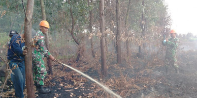 Rakyat Bantu Padamkan Karhutla di Kalimantan Barat 