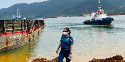 FPPS Minta Aparat Tindak Tegas Pengelola Pelabuhan Tak Berizin