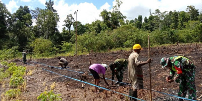 Tingkatkan Ketahanan Pangan, Posramil Biak Utara-Warsa Bersama Warga Menanam Jagung