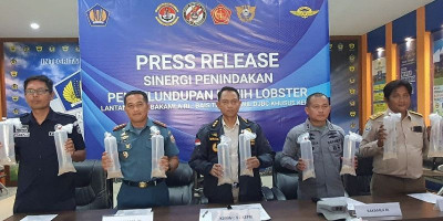 Bakamla RI Gagalkan Penyelundupan Benih Lobster Senilai 19 M ke Malaysia