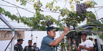 Yakinkan Kelancaran Gerakan Nasional Ketahanan Pangan, Panglima TNI Cek Langsung ke Lapangan