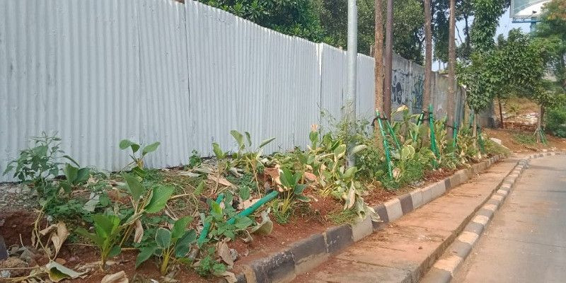 Walikota Jakarta Barat Tutup Mata Soal Pengerusakan Jalur Hijau