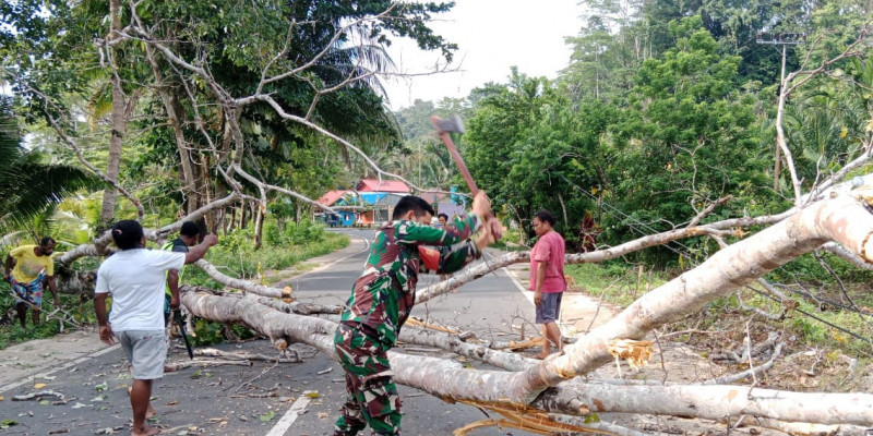 Babinsa dan Warga Bersihkan Pohon Tumbang yang Tutupi Jalan Raya