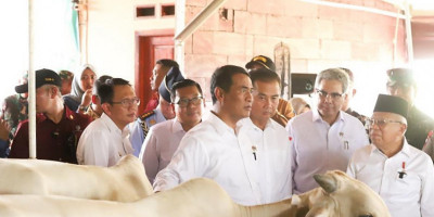 BPK Bersama Kementan Supervisi Program Pertanian di Situbondo