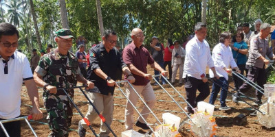 Kementan Genjot Produksi Jagung Manfaatkan Kebun Kelapa