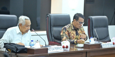 Perpadi Dukung Kebijakan Kementan Garap Lahan Rawa Tingkatkan Produksi