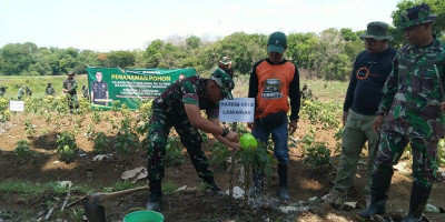 Aksi Tanam Pohon Kodim 0812/Lamongan bersama Perhutani