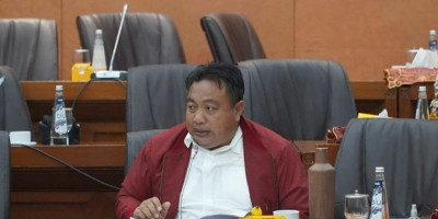 Legislator PDIP Nyoman Parta Minta Menteri Bahlil Fokus Pada Tupoksi