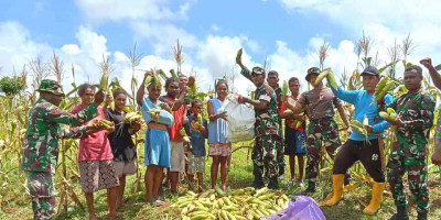 Wujud Hanpangan, Koramil 1708-02/Biak Utara Panen Jagung Bersama Warga