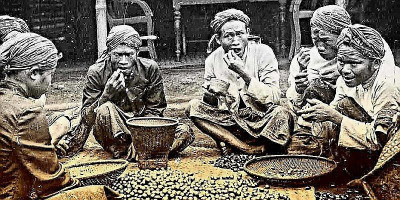 Dahulu Kopi Cianjur Melegenda hingga Eropa