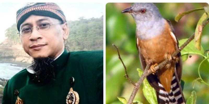 Mitos Burung Emprit Gantil, Burung Pembawa Berita Kematian