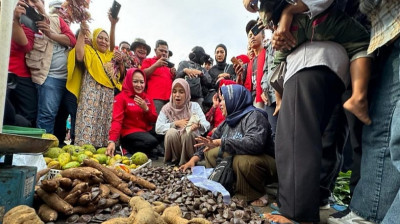 Atikoh Ganjar Blusukan di Pasar Tulang Bawang Lampung, Pedagang Doakan Ganjar Jadi Presiden