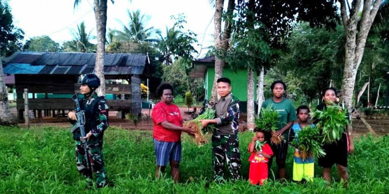 Panen dan Bagi Hasil Kebun di Pos, Buat Warga di Perbatasan RI-PNG Gembira