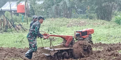 Manfaatkan Lahan Kosong, Koramil 1708-04/Supiori Selatan Buka Lahan Perkuat Ketahanan Pangan