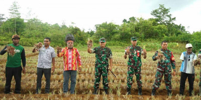 Sukseskan Program Ketahanan Pangan, Dandim 1708/BN Hadiri Panen Bawang Merah