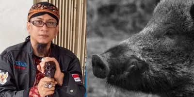 Bongkar Mitos Misteri Babi Ngepet!