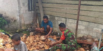 Babinsa Posramil Biak Timur Bantu Warga Kupas Kelapa Tua untuk Pembuatan Minyak Goreng