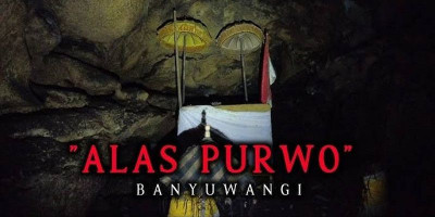 Hutan Alas Purwo Simpan Banyak Cerita Mistis yang Belum Terpecahkan, Apa Saja?