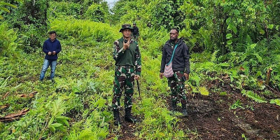 Satgas TMMD Ke-119 Kodim 1715/Yahukimo Terabas Hutan Dekai 