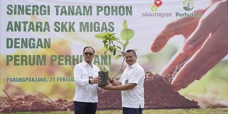 Tingkatkan Serapan Karbon, Perhutani dan SKK Migas Tanam Ribuan Bibit Pohon di Bogor 