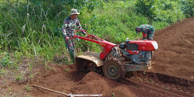 Siapkan Lahan Ketahanan Pangan, Babinsa Posramil Biak Timur Bantu Petani Bersihkan Kebun Program Hanpangan