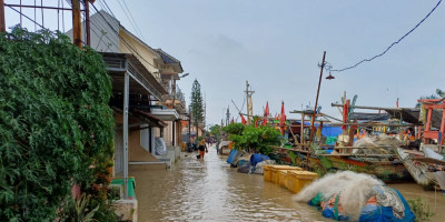 Prihatin Banjir Tiap Tahun di Kabupaten Cirebon, Prof. Rokhmin: Seharusnya Cepat Dicari Solusi Tepat