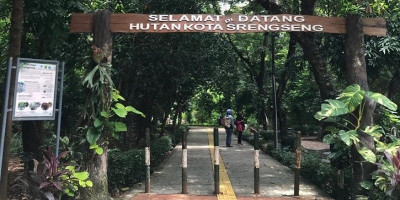 Hutan Kota Srengseng: Wisata Penyegaran Tubuh dan Pikiran di balik Hiruk Pikuk Kehidupan Kota Jakarta