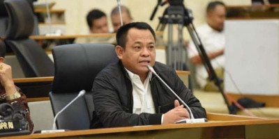 Atasi Persoalan Pangan, Pemerintah Perlu Buat Peta Jalan Tata Kelola Pertanian