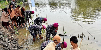 Satgas Trisila 2024 Ikut Giat Lantamal I, Tabur Bibit Ikan, Tanam Mangrove dan Bibit Kelapa