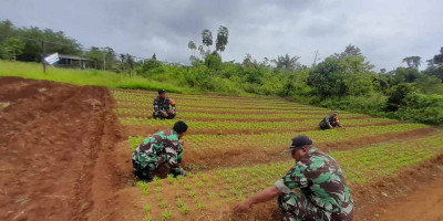 Posramil 1708 – 01/Bitim Lakukan Pembersihan dan Perawatan Kebun Hanpangan di Desa Kajasbo