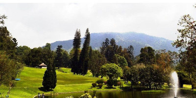 Kebon Raya Cibodas Rumah bagi Tumbuhan Langka yang Terancam Punah