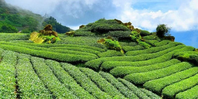 Berlibur ke Selatan Bandung yang Jauh dari Hiruk Pikuk Perkotaan 