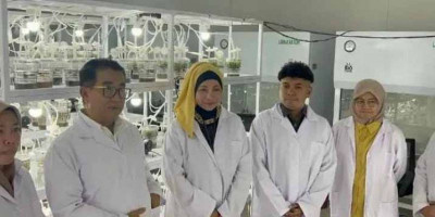 Pj Gubernur Kaltim Dorong Kemandirian Pangan melalui Laboratorium Kultur Jaringan