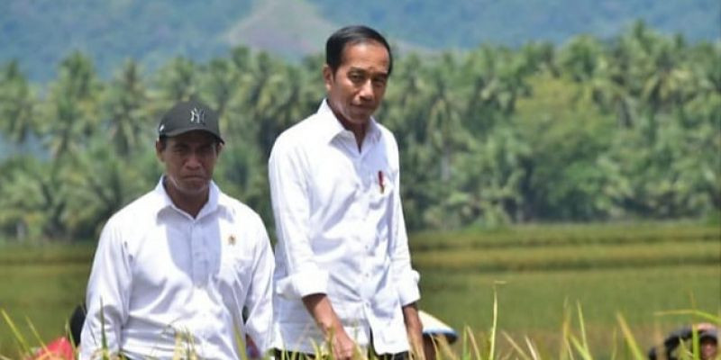 Tinjau Panen Padi di Sulteng, Jokowi Apresiasi Gebrakan Mentan Amran